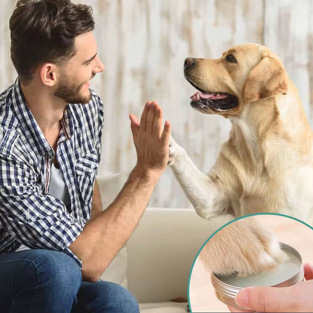 Lesofia™ PawRescue Natural Paw Balm