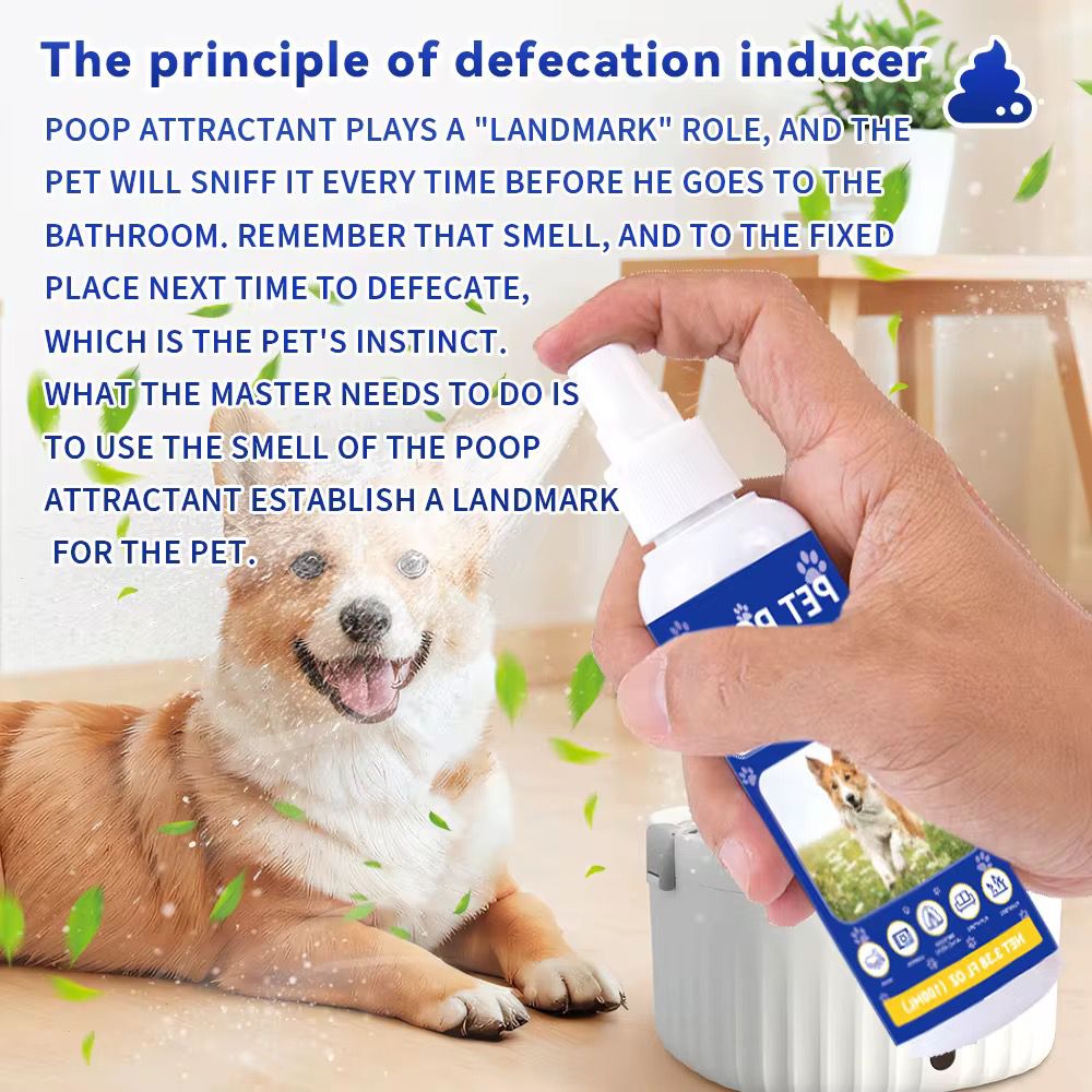Lesofia™ SmartSpot Potty Training Spray